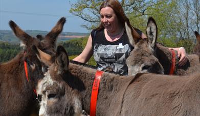 donkey week, sidmouth