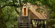 Pinwheel Treehouse