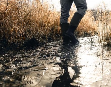 Claim free tickets to WWT Martin Mere to celebrate World Wetlands Day this February