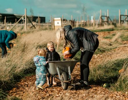 Where to go Pumpkin Picking in Lancashire