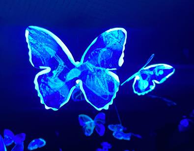 Thumbnail for Light up Lancaster