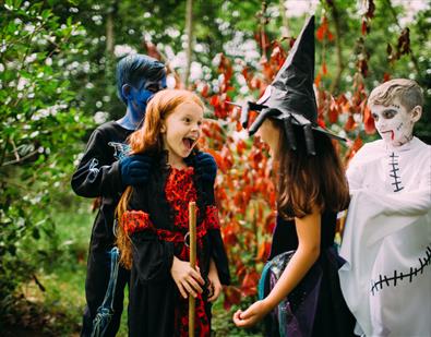 Kids in costumes at Ribby Hall