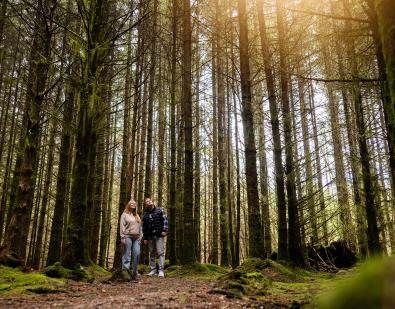 Thumbnail for Happy Lancashire Day