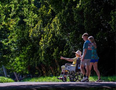 Thumbnail for Walking Routes