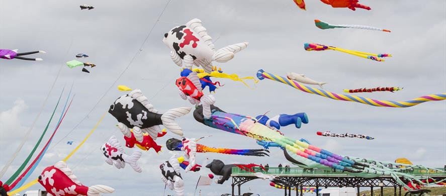 Kite Festival displays