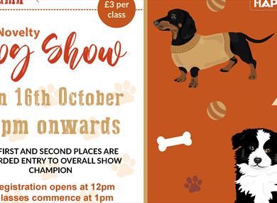 Novelty Dog Show