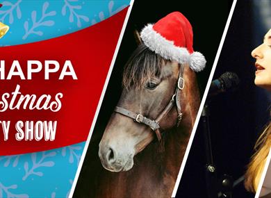 HAPPA Christmas Variety Show poster