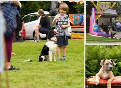 Fun dog show