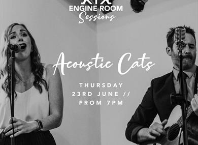 Engine Room Session with The Acoustic Cats