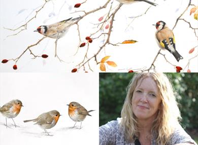 Clare Shaughnessy Wildlife Exhibition