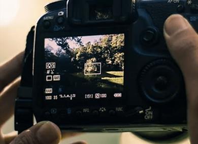 artist workshop: improve your photography with Diane Muldowney