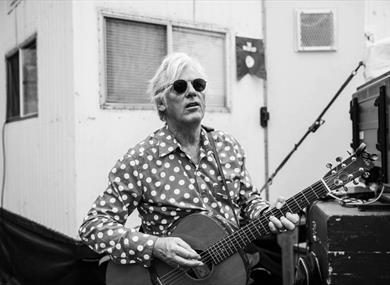 Robyn Hitchcock