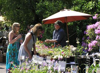Spring Plant Hunters' Fair at Hoghton Tower