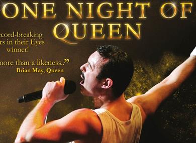 One Night of Queen