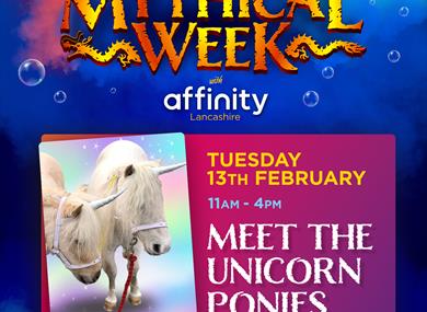 Meet the Unicorn Ponies