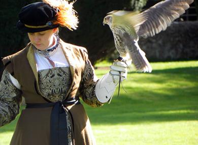 Tudor Festival Day
