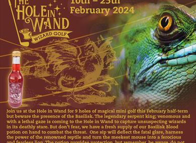 Harness the power of the Basilisk this February half-term