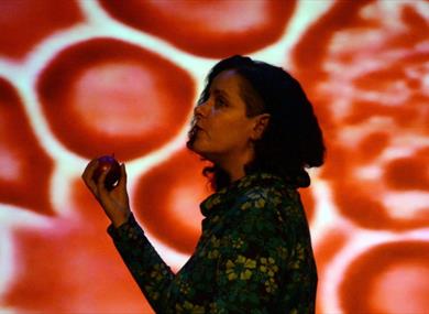 Avital Raz: Unnatural Cycles: A Ghost Story