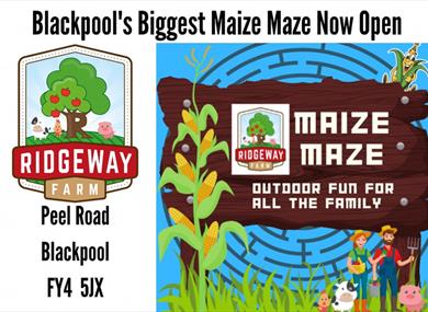 Maize Maze at Ridgeway Farm