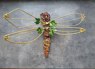 Willow Dragonfly Class