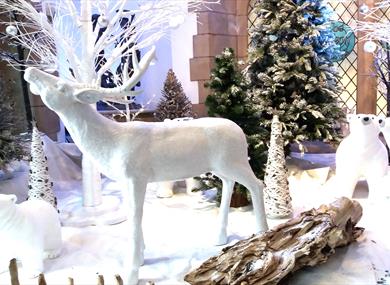 Christmas Floral Demo & Workshop