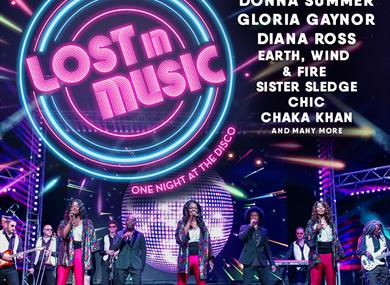 LOST IN MUSIC: ONE NIGHT AT THE DISCO