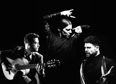 Art of Andalucia (Flamenco Dance): Daniel Martinez