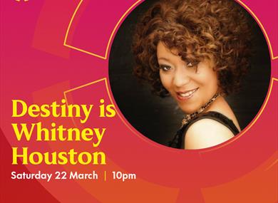 Whitney Houston Tribute: Destiny