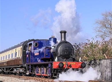 20th year Anniversary/Steam Gala