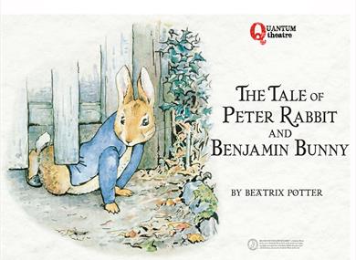 The tale of Peter Rabbit and Benjamin Bunny