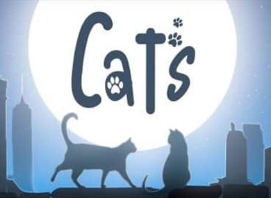 The Sound of Musical Theatre Company presents Cats