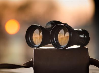 A pair of binoculars sit ready for bird watching.