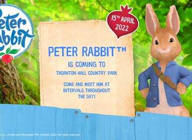 Peter Rabbit™ at Thornton Hall Country Park