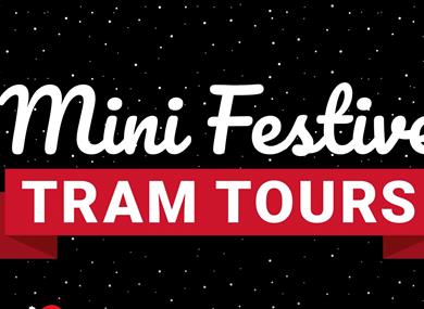 Mini Festive Tours