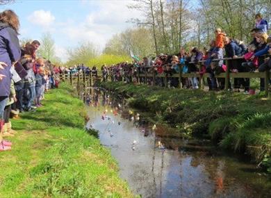 Annual Duck Race at WWT Martin Mere