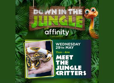Meet the Jungle Critters at Affinity