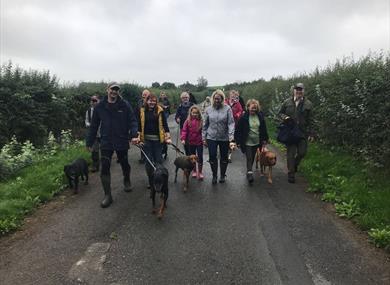 Dog Walk