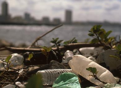 The Rewilding - Coastal Litter Picking Cockerham