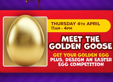 Meet the Golden Goose at Affinity