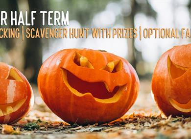 Halloween Activities