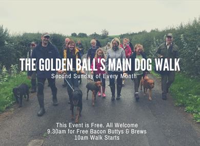 Dog Walk - Longton