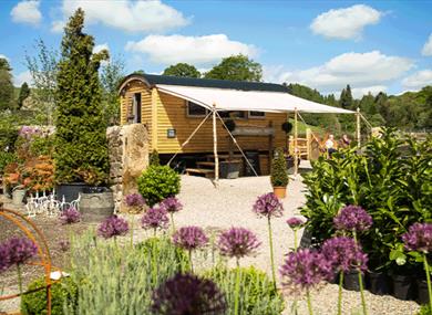 Outdoor image of the nurseries on a sunny day.