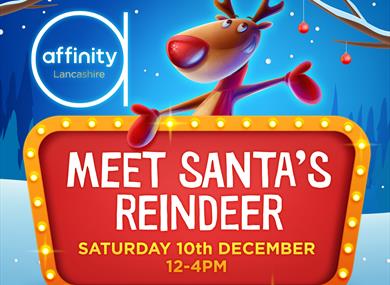 Meet Santa's Reindeer!
