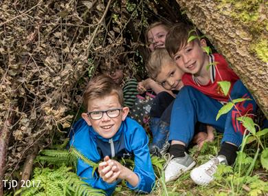 Woodland Survival at Mere Sands Wood