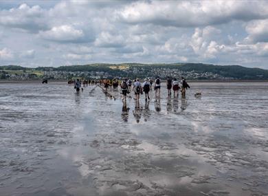 Cross Bay Walk for Hearing Dogs
