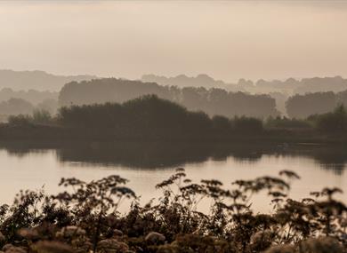 Lancashire Local History Walk at Brockholes Nature Reserve