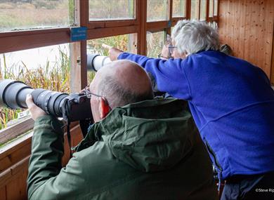 Copywright Jen Walker