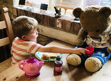 Teddy Bear Thursdays