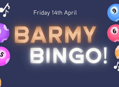 Barmy Bingo