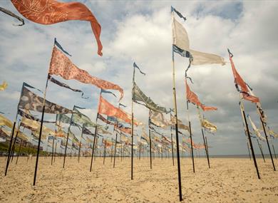 Bay Lines - Beach of Dreams community event